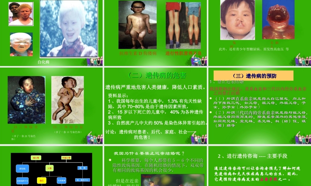 八年级生物上册 第三节人类的遗传课件