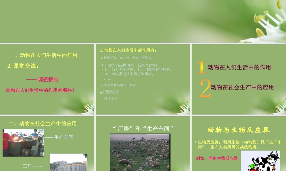 八年级生物上册 动物与人类生活的关系课件 人教新课标版 课件