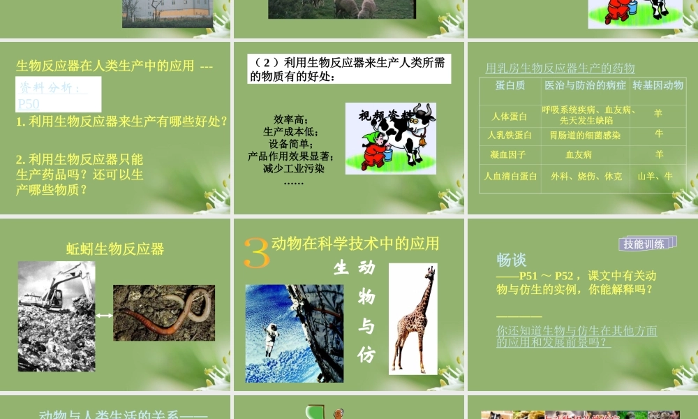 八年级生物上册 动物与人类生活的关系课件 人教新课标版 课件