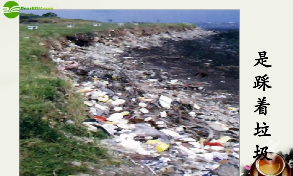 八年级政治下册(做大自然的朋友)课件 教科版 课件