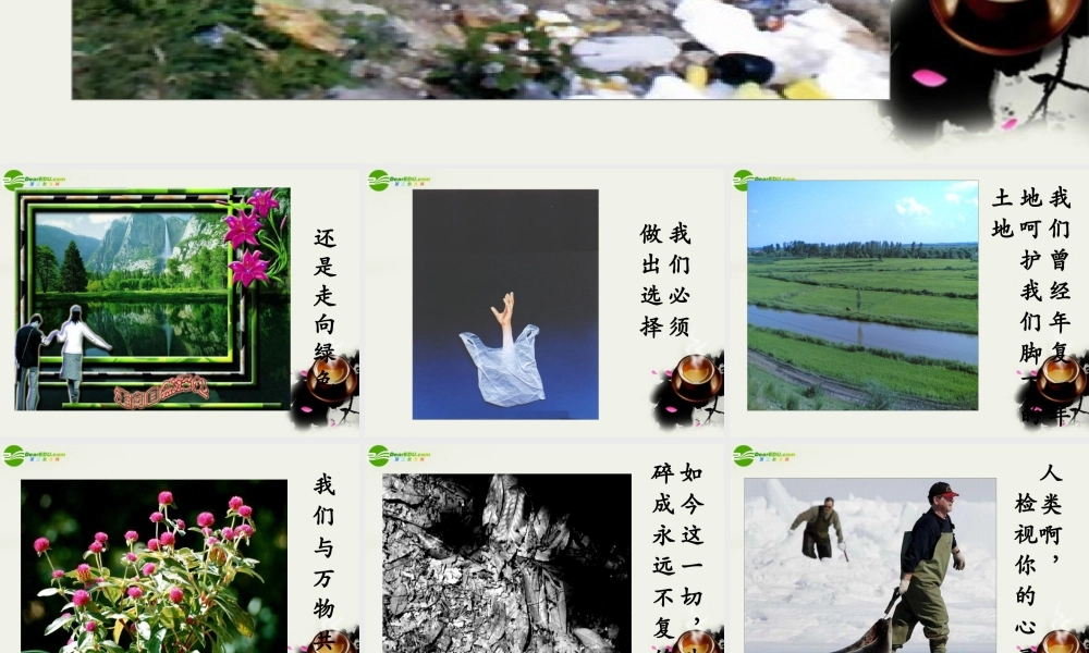 八年级政治下册(做大自然的朋友)课件 教科版 课件