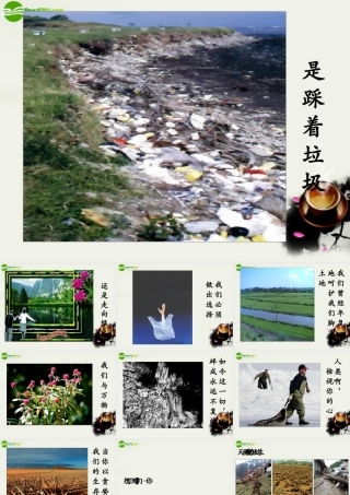 八年级政治下册(做大自然的朋友)课件 教科版 课件