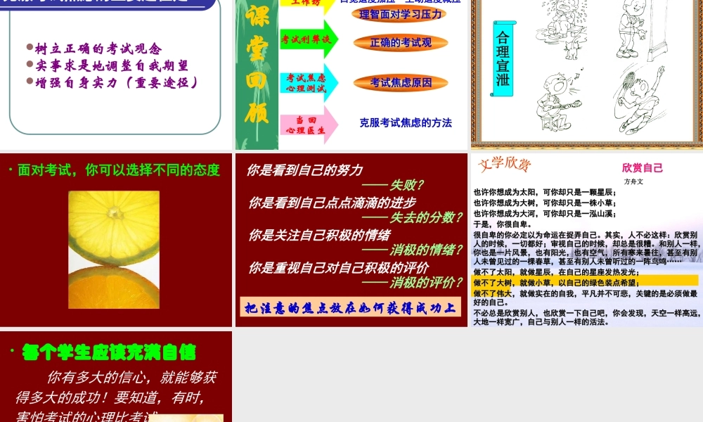 九年级政治理智面对学习压力课件 新课标 课件