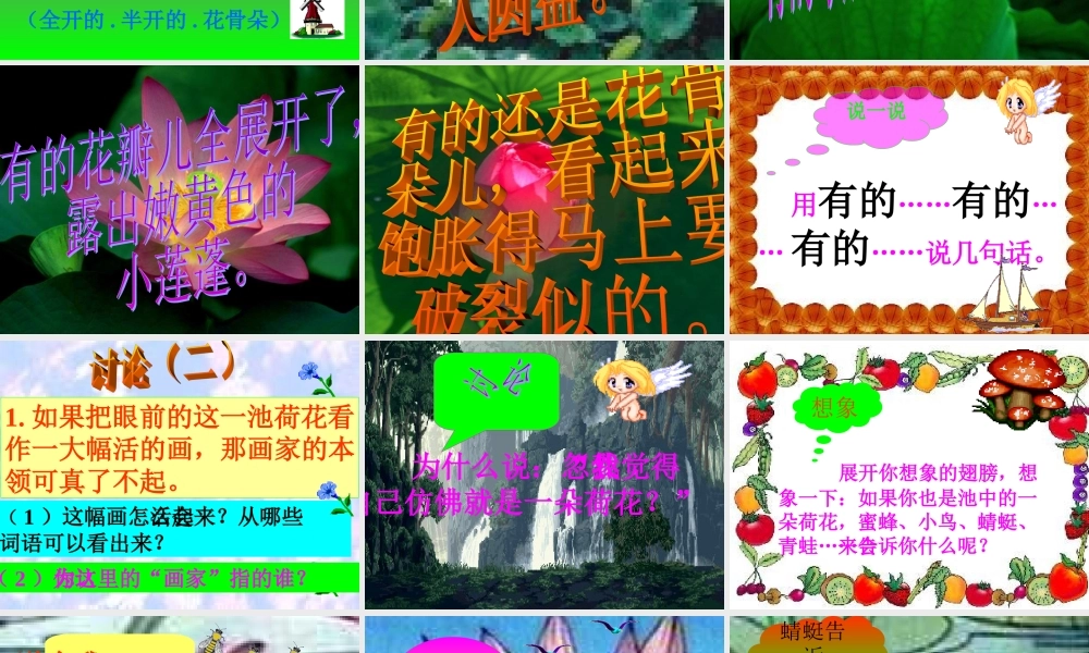 三年级语文下册第一组3荷花第二课时课件
