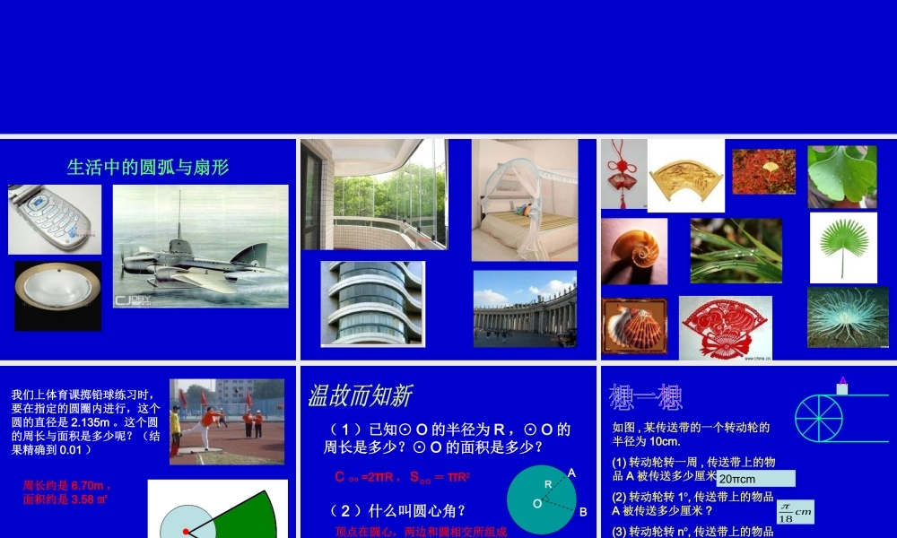 弧长及扇形的面积
