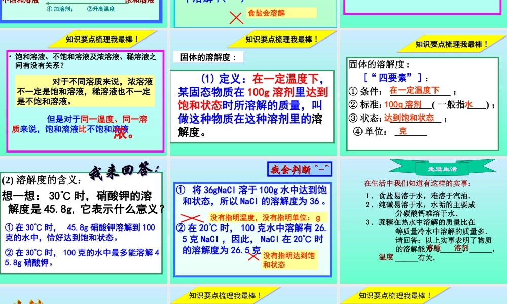 初三化学溶液复习 新课标 课件