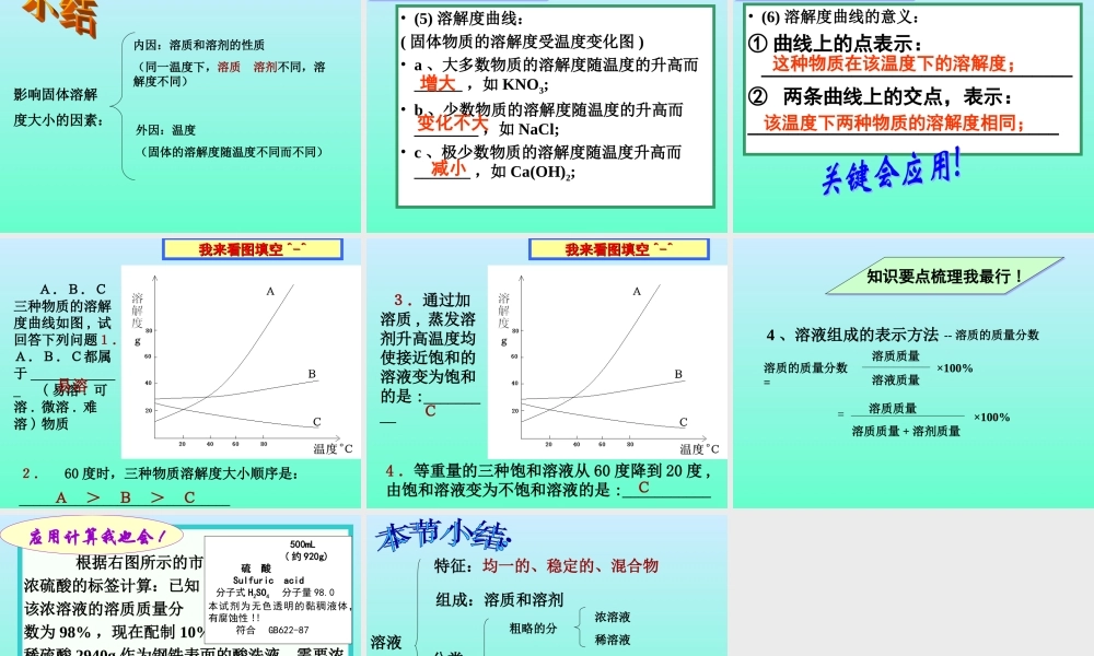 初三化学溶液复习 新课标 课件