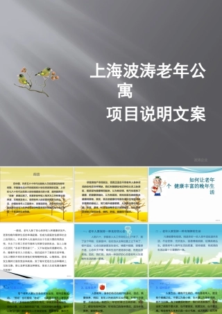 上海波涛老年公寓项目说明文案
