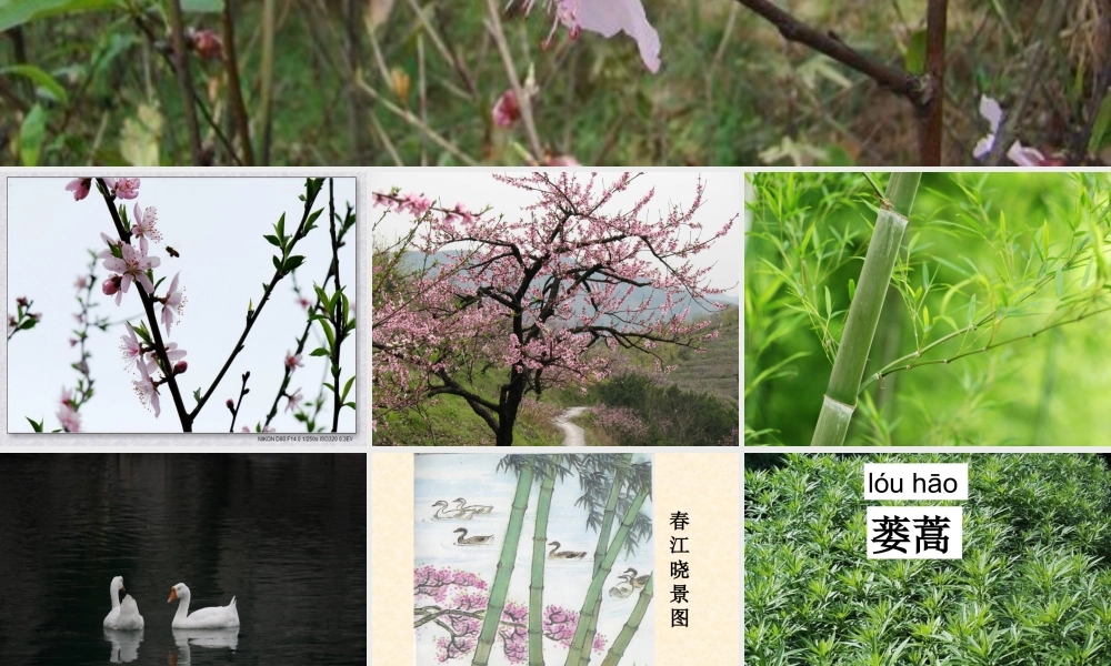 惠崇春江晓景(1)