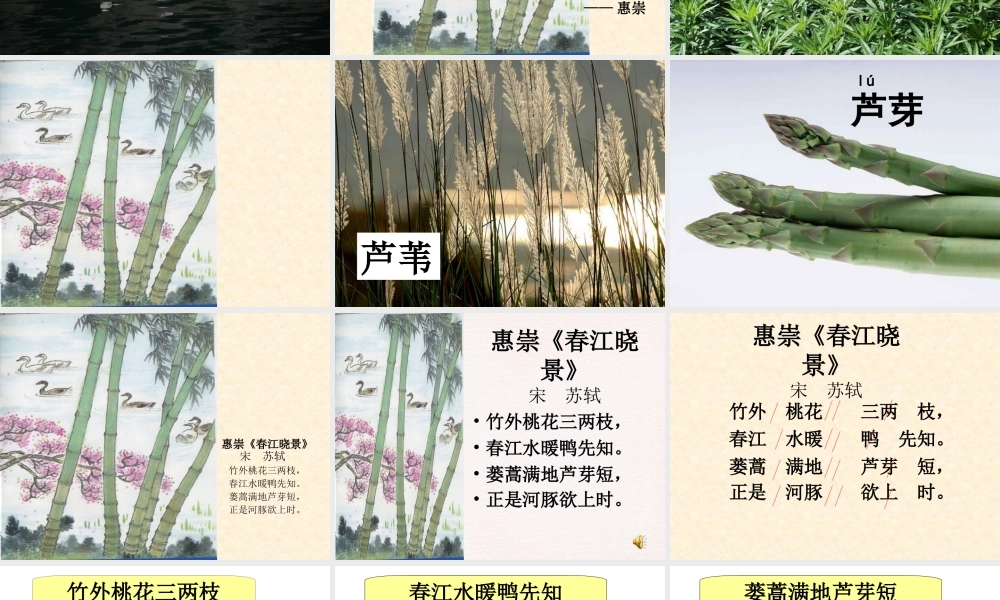 惠崇春江晓景(1)