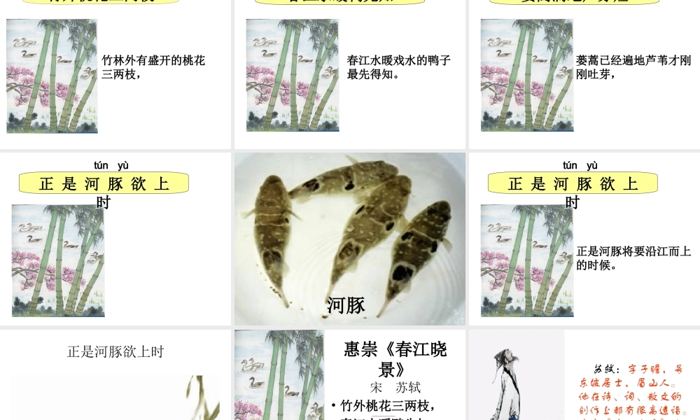 惠崇春江晓景(1)