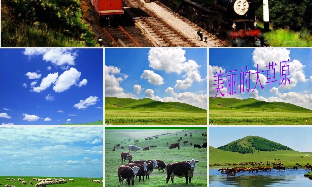 草原就是我的家 (2)