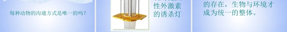 八年级生物上册 5.2.3 社会行为课件 新人教版 课件