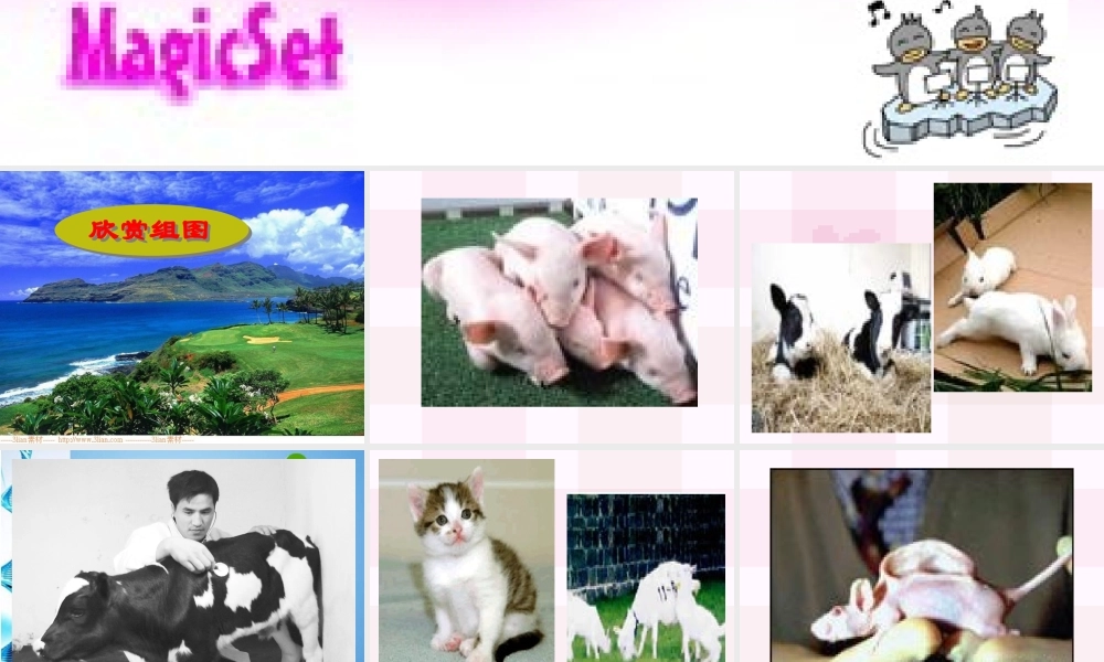 八年级语文下册 第10课(奇妙的克隆)课件 北京课改版 课件