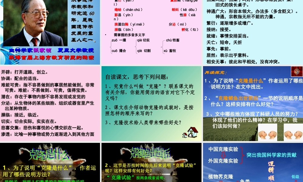 八年级语文下册 第10课(奇妙的克隆)课件 北京课改版 课件
