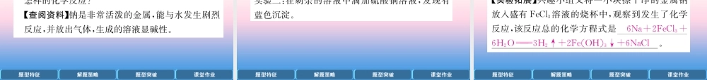 中考化学复习 第2编 重点专题突破篇 专题突破6 探究题(初高衔接型)(精讲)课件