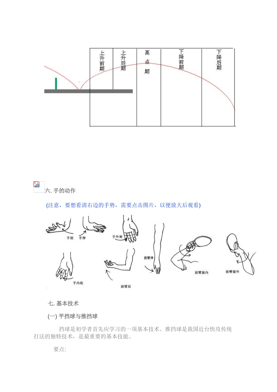 乒乓球入门技术_第3页