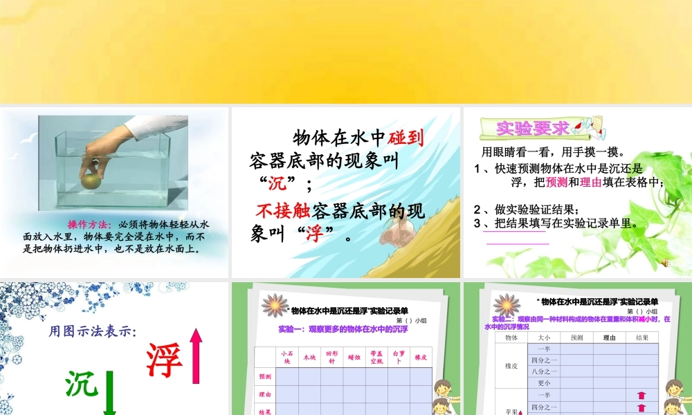 《物体在水中是沉还是浮》课件