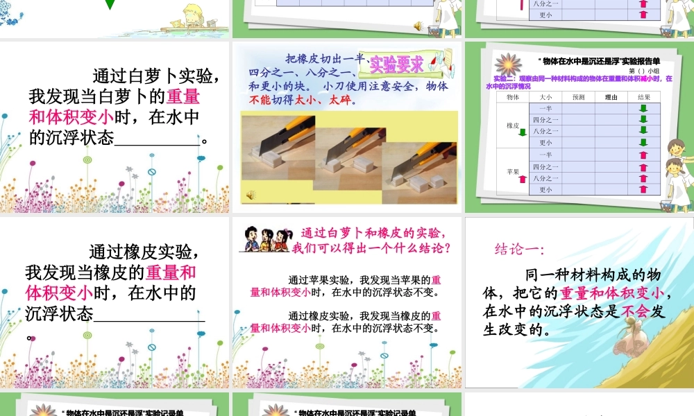 《物体在水中是沉还是浮》课件