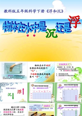 《物体在水中是沉还是浮》课件