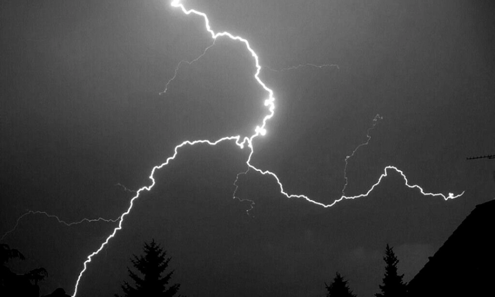 八年级语文下册(第1课 海燕)课件 苏教版 课件