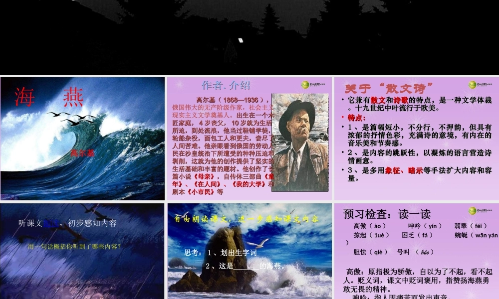 八年级语文下册(第1课 海燕)课件 苏教版 课件