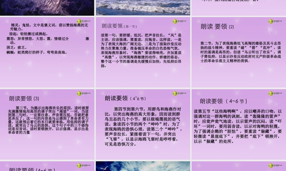 八年级语文下册(第1课 海燕)课件 苏教版 课件