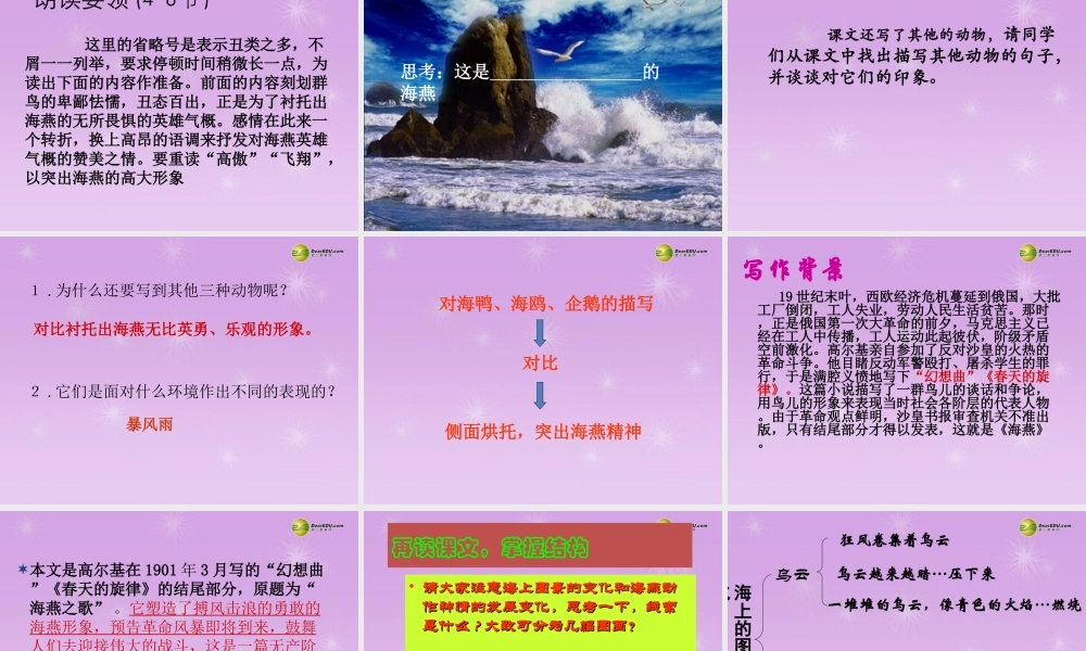 八年级语文下册(第1课 海燕)课件 苏教版 课件