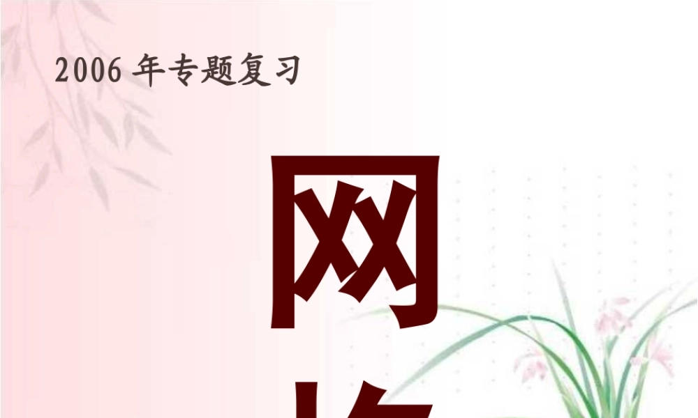 中考数学专题复习网格 新课标 试题