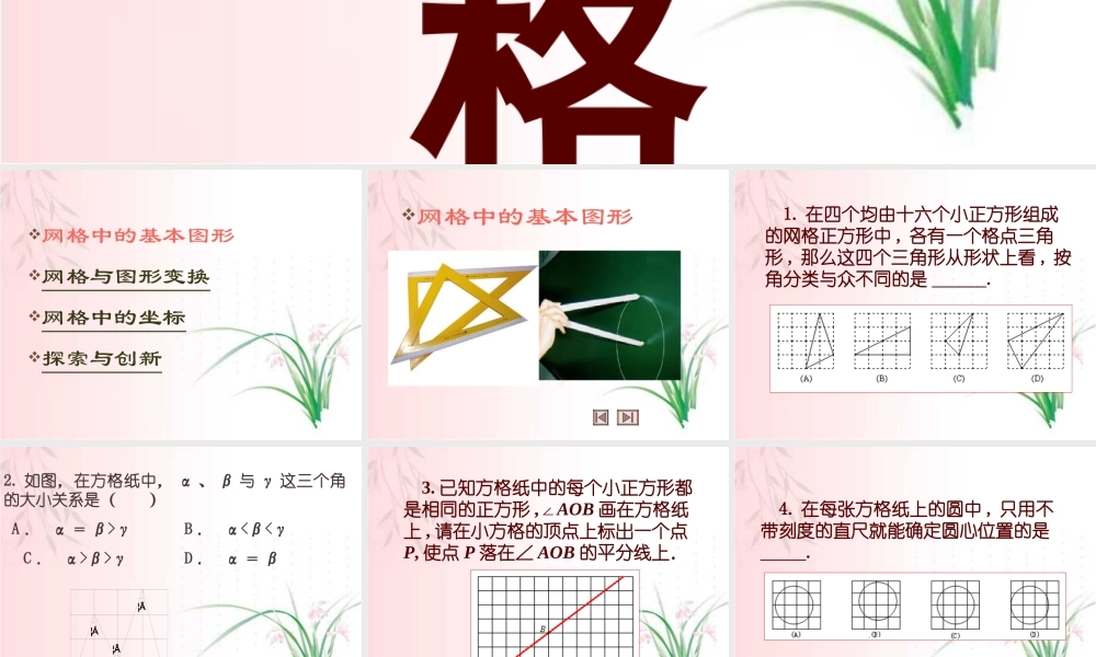 中考数学专题复习网格 新课标 试题