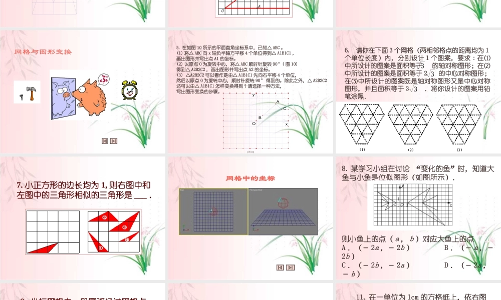 中考数学专题复习网格 新课标 试题