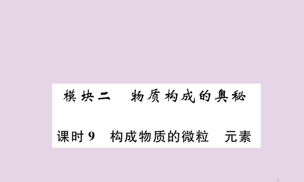 中考化学总复习 第1编 主题复习 模块2 物质构成的奥秘 课时9 构成物质的微粒 元素(精讲)课件