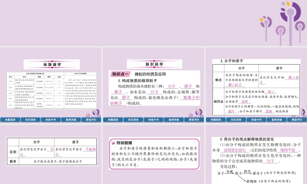 中考化学总复习 第1编 主题复习 模块2 物质构成的奥秘 课时9 构成物质的微粒 元素(精讲)课件