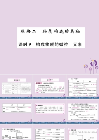 中考化学总复习 第1编 主题复习 模块2 物质构成的奥秘 课时9 构成物质的微粒 元素(精讲)课件