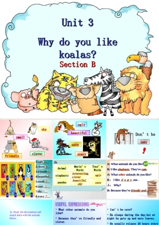 七年级英语Why do you like koalas课件人教版 课件