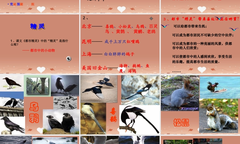八年级语文上册 22 都市精灵课件 苏教版 课件