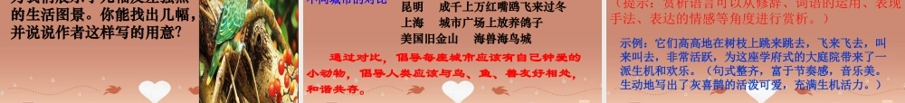 八年级语文上册 22 都市精灵课件 苏教版 课件