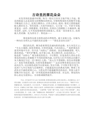 古诗里的葵花朵朵