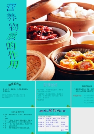 七年级生物上册 第三单元 第五章 第2节 营养物质的作用 营养物质的作用课件 (新版)苏科版 课件