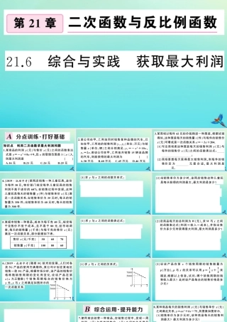 九年级数学上册 第21章 二次函数与反比例函数 216 综合与实践 获得最大利润作业课件 (新版)沪科版 课件