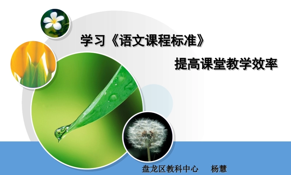 语文课程标准解读_(杨慧)20143