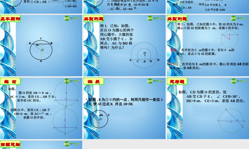九年级数学上册 42圆的对称性(二)课件 苏科版 课件
