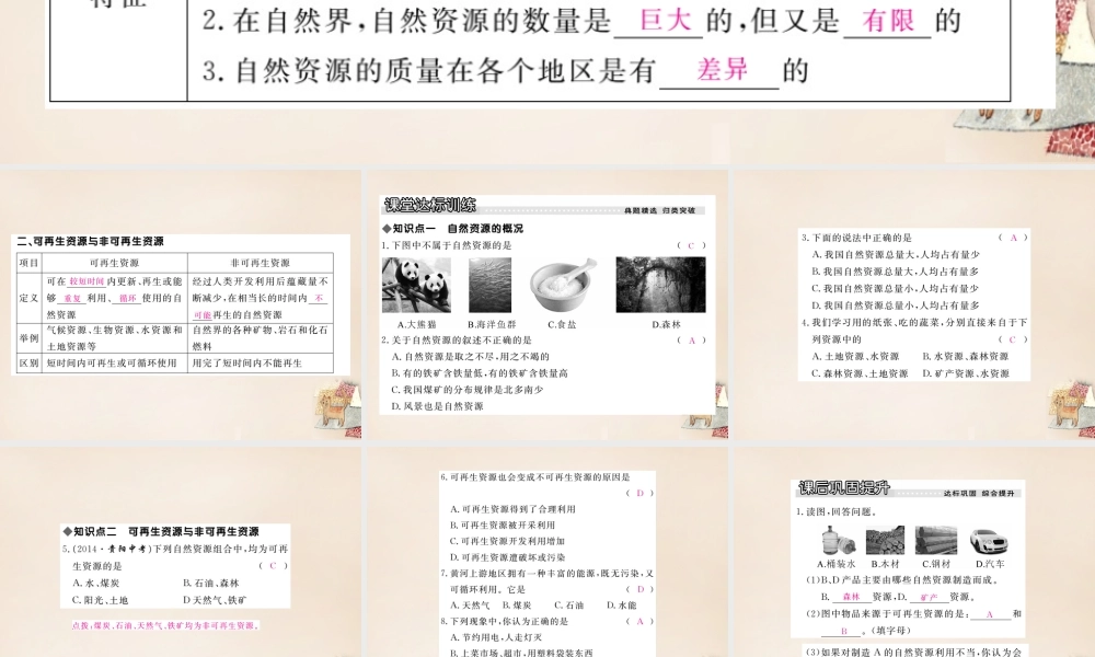 八年级地理上册 第三章 第一节 自然资源概况课件 (新版)湘教版 课件