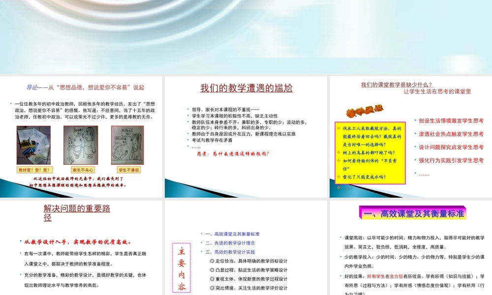 初中思想品德高效课堂教学设计与案例分析