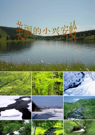 23美丽的小兴安岭-倪学文