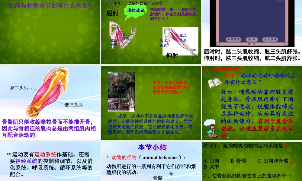 八年级生物上册(第五单元 第二章 动物的运动和行为)课件 新人教版 课件
