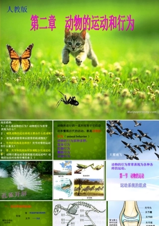 八年级生物上册(第五单元 第二章 动物的运动和行为)课件 新人教版 课件