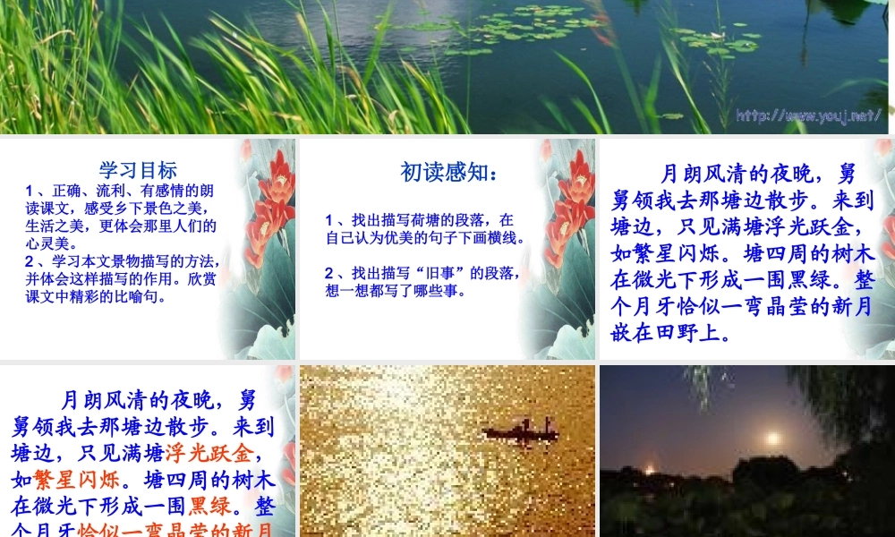 荷塘旧事课件(1)