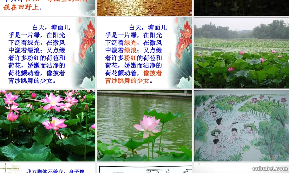 荷塘旧事课件(1)