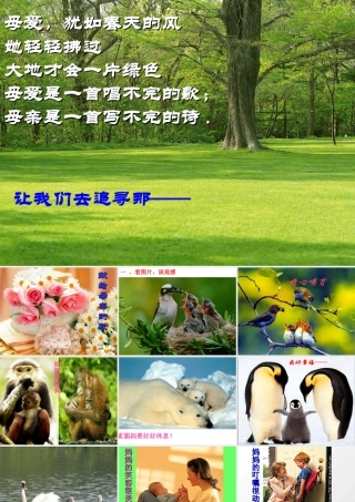 献给母亲的歌